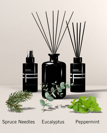 Parfum d'ambiance Domenic 100ml